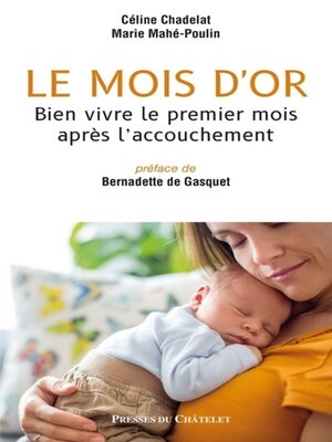 cover image of Le mois d'or--Bien vivre le premier mois après l'accouchement